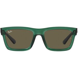 Ray-Ban Occhiali da Sole Warren RB4396 6681/3