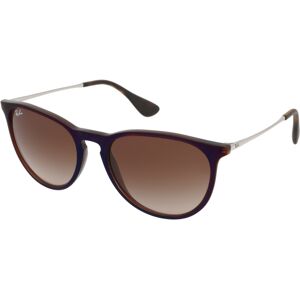 Ray-Ban Erika RB4171 631513