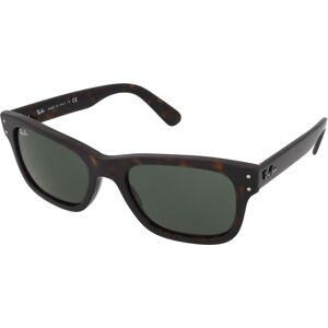 Ray-Ban Mr Burbank RB2283 902/31