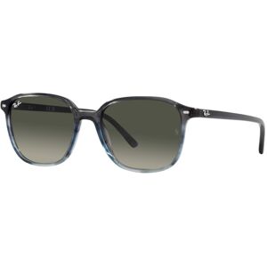 Occhiali da Sole Ray-Ban Leonard RB 2193 (138171)