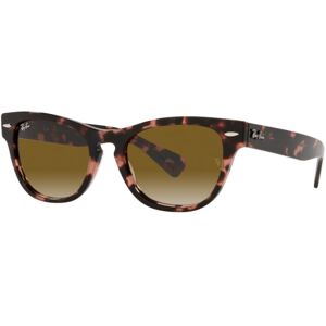 Occhiali da Sole Ray-Ban Laramie RB 2201 (133451)