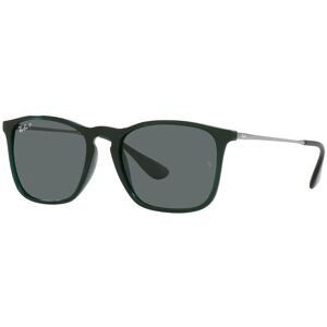 Occhiali da Sole Ray-Ban Chris RB 4187 (666381)