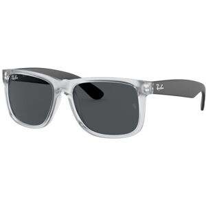 Ray-Ban Justin Color Mix RB 4165 (651287)