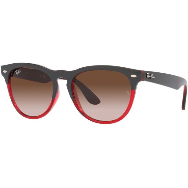 occhiali da sole ray-ban iris rb 4471 (663113)