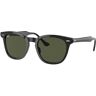 Occhiali da Sole Ray-Ban Hawkeye RB 2298 (901/31)