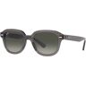 Occhiali da Sole Ray-Ban Erik RB 4398 (667571)