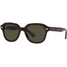 Occhiali da Sole Ray-Ban Erik RB 4398 (902/31)