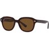 Occhiali da Sole Ray-Ban Erik RB 4398 (902/57)