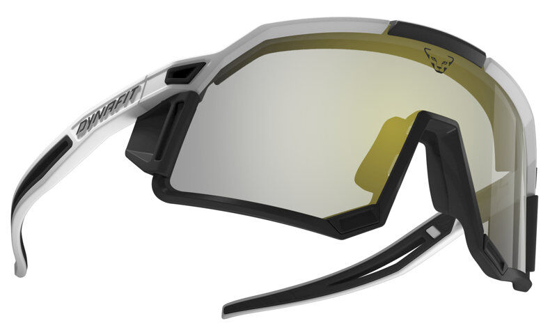 Dynafit Sky Pro - occhiali da ghiacciaio White/Black