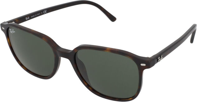 Ray-Ban Leonard RB2193 902/31