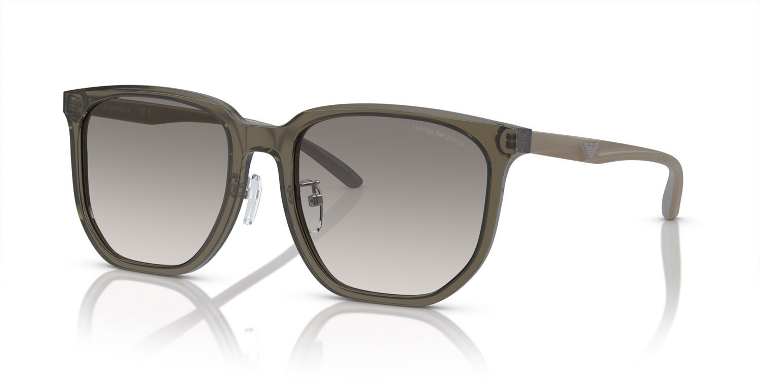 Occhiali da Sole Emporio Armani EA 4215D (50296I)