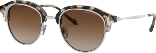 Occhiali da Sole Giorgio Armani AR 8117 (564813)