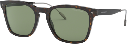 Occhiali da Sole Giorgio Armani AR 8120 (5026/2)