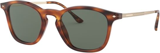 Occhiali da Sole Giorgio Armani AR 8128 (58109A)