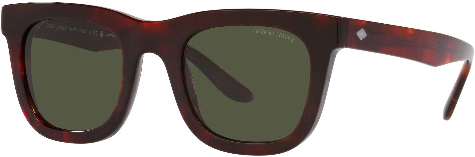 Occhiali da Sole Giorgio Armani AR 8171 (596231)