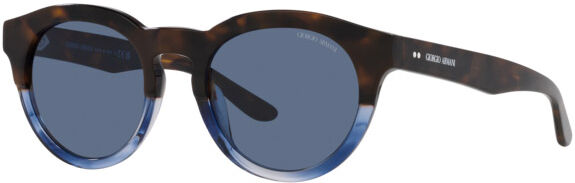 Occhiali da Sole Giorgio Armani AR 8189U (600880)