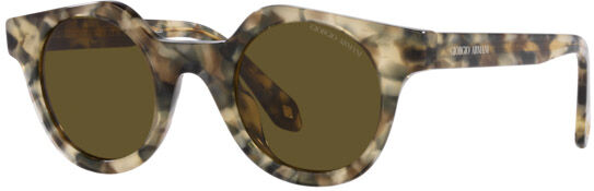 Occhiali da Sole Giorgio Armani AR 8191U (601773)