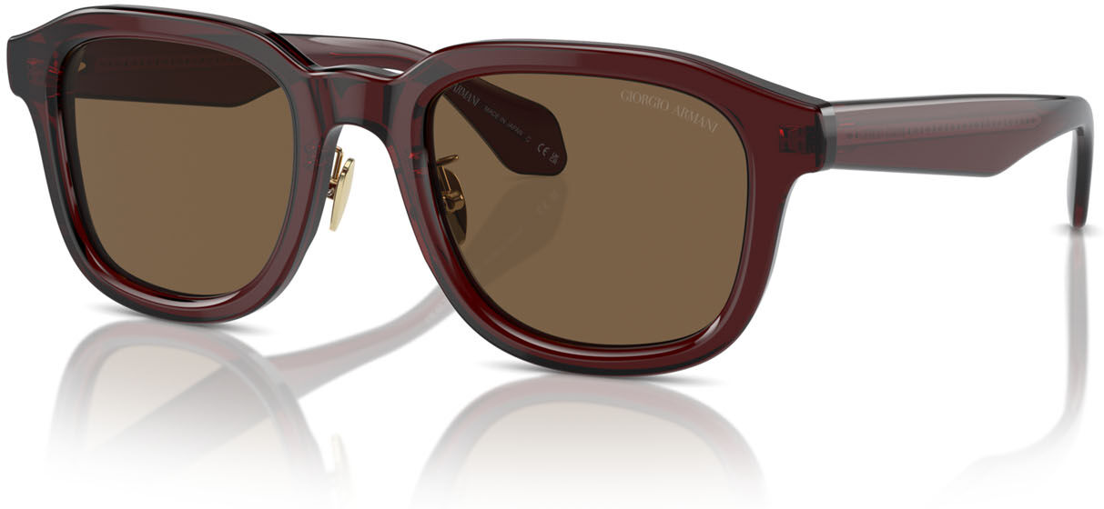 Occhiali da Sole Giorgio Armani AR 8206 (606273)