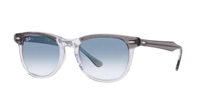 Occhiali da Sole Ray-Ban Eagle Eye RB 2398 (13553F)