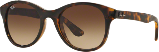 Occhiali da Sole Ray-Ban RB 4203 (710/13)