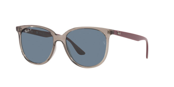 Occhiali da Sole Ray-Ban RB 4378 (65722V)