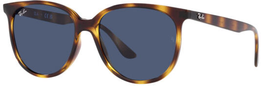 Occhiali da Sole Ray-Ban RB 4378 (710/80)