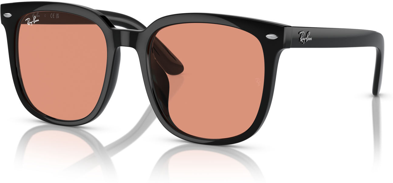 Occhiali da Sole Ray-Ban RB 4401D (601/74)