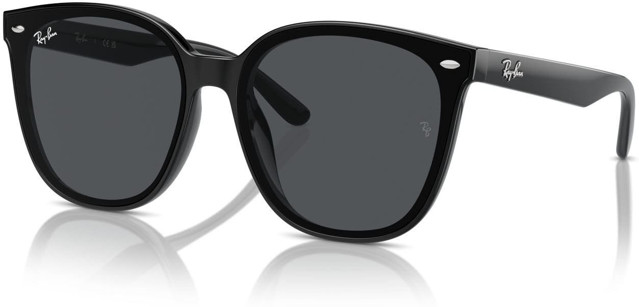 Occhiali da Sole Ray-Ban RB 4423D (601/87)