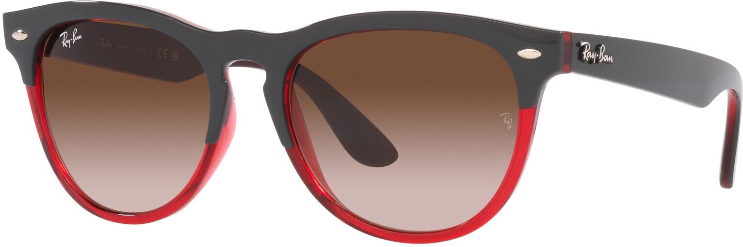 Occhiali da Sole Ray-Ban Iris RB 4471 (663113)