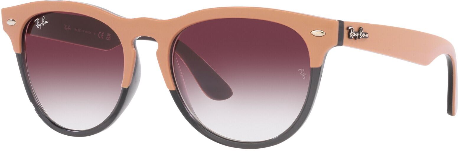 Occhiali da Sole Ray-Ban Iris RB 4471 (66338H)