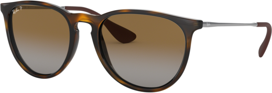 Ray-Ban Erika RB 4171 (710/T5)