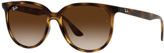 Ray-Ban RB 4378 (710/13)