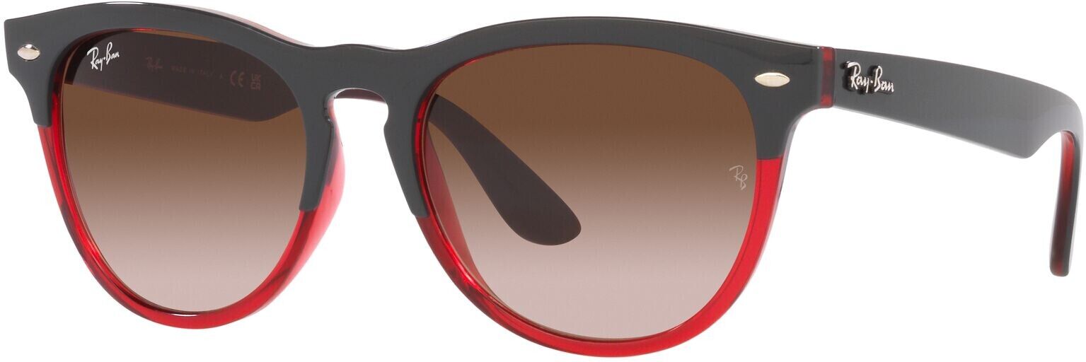 Ray-Ban Iris RB 4471 (663113)