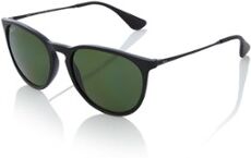 Ray-Ban Zonnebril Erika RB4171 - Zwart