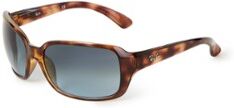 Ray Ban Zonnebril RB4068 - Bruin