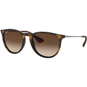 Ray-Ban 0RB4171 865/13 54 (RB9) Unisex Erika Havana Sunglasses