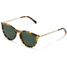 Hawkers Mark - Polarized Carey Alligator