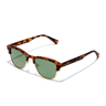 Hawkers New Classic - Polarized Alligator