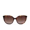 Kate Spade KIMBERLYN/G/S #havana 140 mm