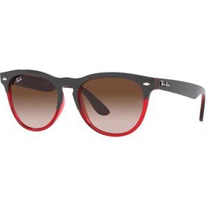 Ray-Ban Sunglasses Unisex - Steel Grey - 54