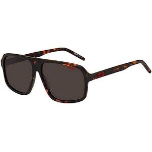 Hugo Boss Hg 1195/s Sunglasses, 086/IR Havana, 60