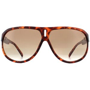 Guess Aviator Tortoise Brown Gradient Sunglasses