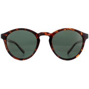 Polaroid Unisex Sunglasses Pld 1013/s V08 H8 Havana Green Polarized - Brown - One Size