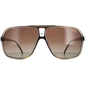 Carrera Aviator Mens Havana Brown Gradient Polarized Grand Prix 3 - One Size