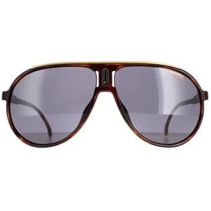 Carrera Aviator Mens Havana Grey Champion65/n - Brown - One Size