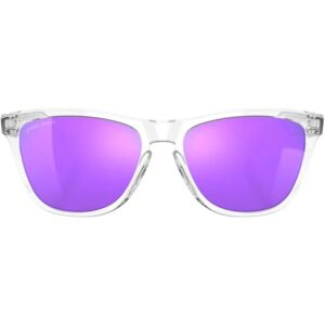 Oakley , Frogskin Sungles - Violet Prizm ,Gray unisex, Sizes: ONE SIZE, 55 MM