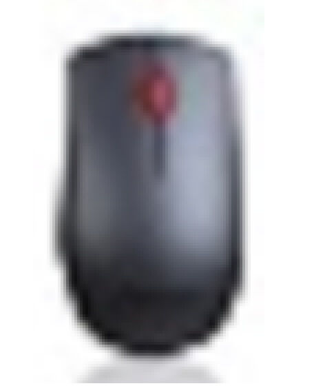 Lenovo Professional Wireless Laser Mouse (w/o battery)