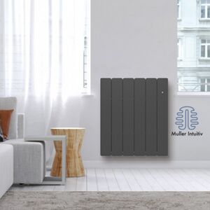 Radiateur Fonte Noirot Beladoo 1000w Horizontal Gris Anthracite Connecte Nen1683sehs