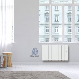 Radiateur Fonte Noirot Beladoo 1000w Bas Blanc Connecté Nen1703seec - Publicité