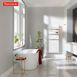 Thermor Sèche-Serviettes Soufflant Thermor Allure 3 Classique 1750w (750+1000) Mât À Gauche Avec Entretoises En Chêne Clair - 483244